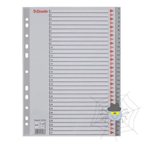 Regiszter ESSELTE műanyag A/4 1-31