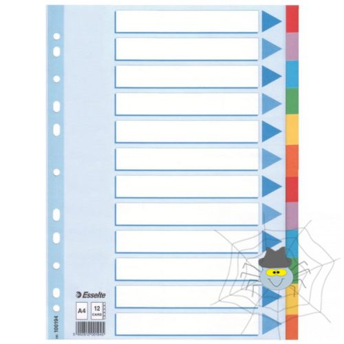 Regiszter ESSELTE Standard A/4 karton 12 részes