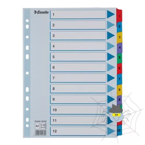 Regiszter ESSELTE Mylar A/4 karton 1-12