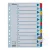 Regiszter ESSELTE Mylar A/4 karton 1-12
