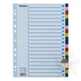 Regiszter ESSELTE A/4 műanyag 20 részes