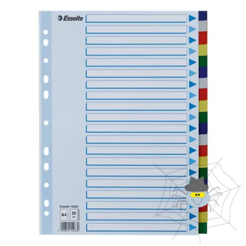 Regiszter ESSELTE A/4 műanyag 20 részes